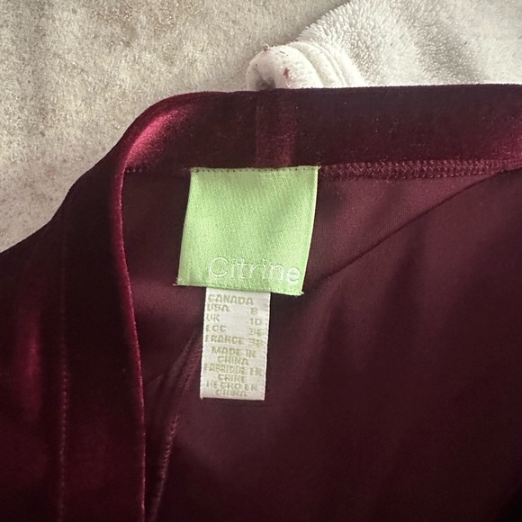 Citrine Velvet Burgundy Trousers - Picture 4 of 5